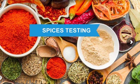 Spices Testing